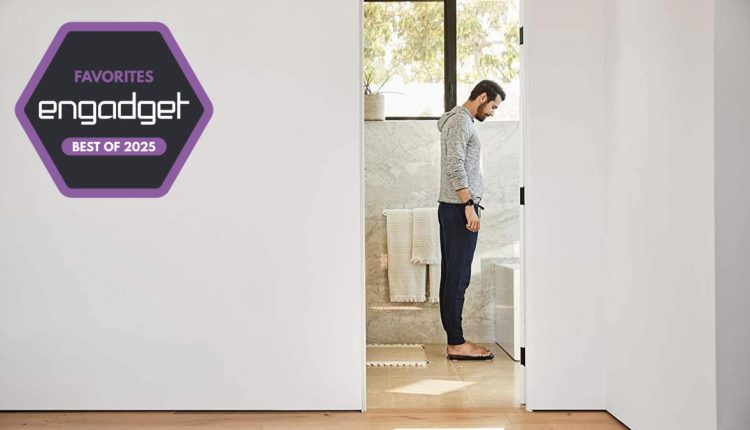 0aa6d780 b960 11ef afbe 906a7381aa07.jpeg