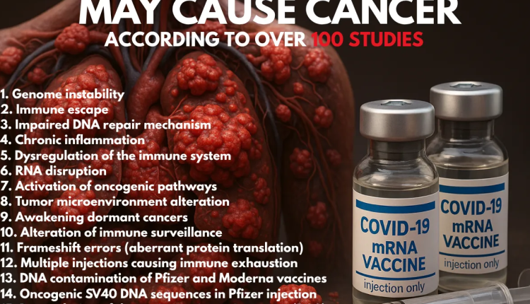 1752896876 image 2.png