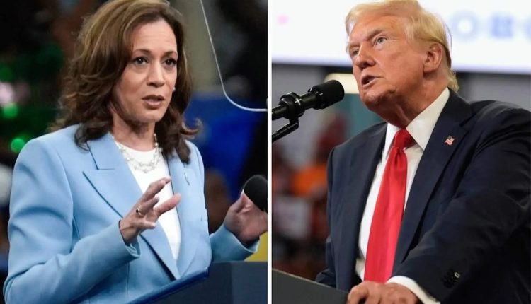 968f243c kamala harris dan donald trump tile pic 4924 copy 1000x600.jpg