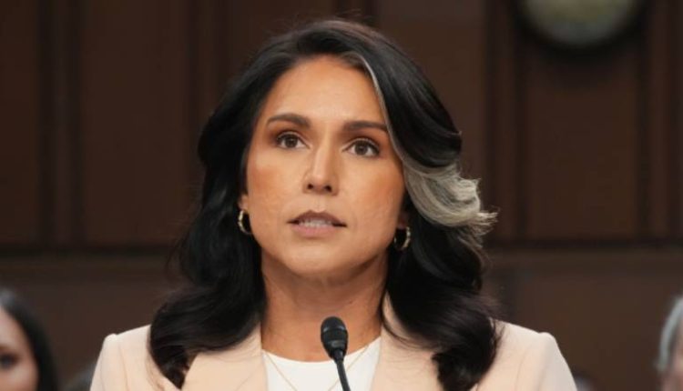 Tulsi gabbard releases massive mlk file dump 6301 pdfs and a government secret 620x340 1.jpg