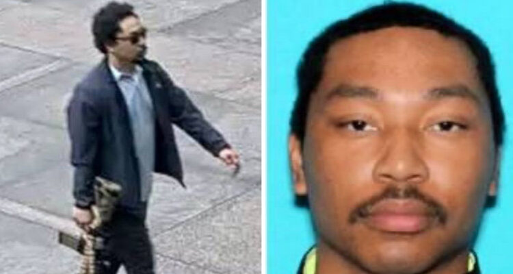 Article img 2671.jpeg