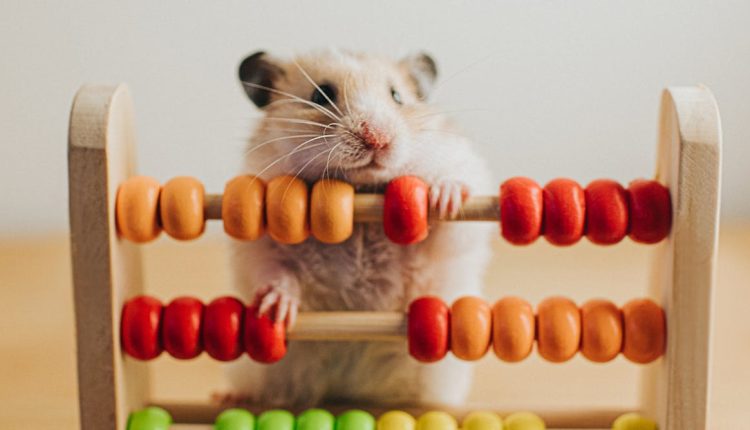 File 20250418 56 9eikll.jpg