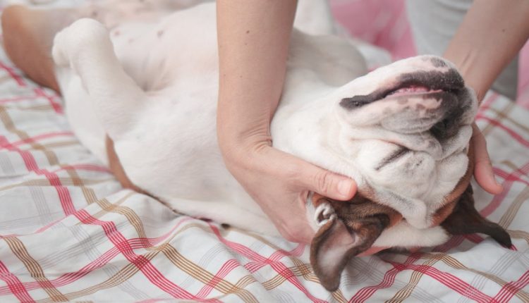 File 20250701 56 8bo6sy.jpg