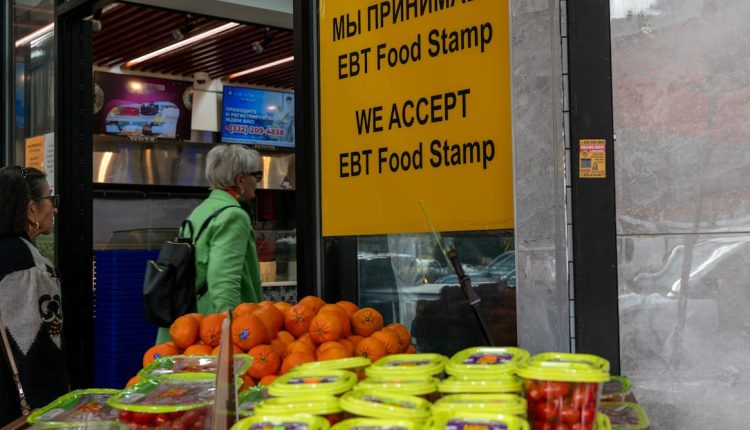 File 20250703 56 vlnt33.jpg