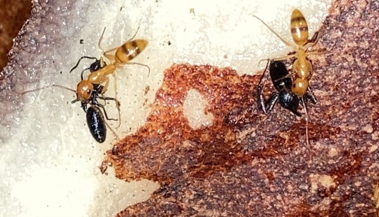 File 20250710 56 l9wyum.jpg