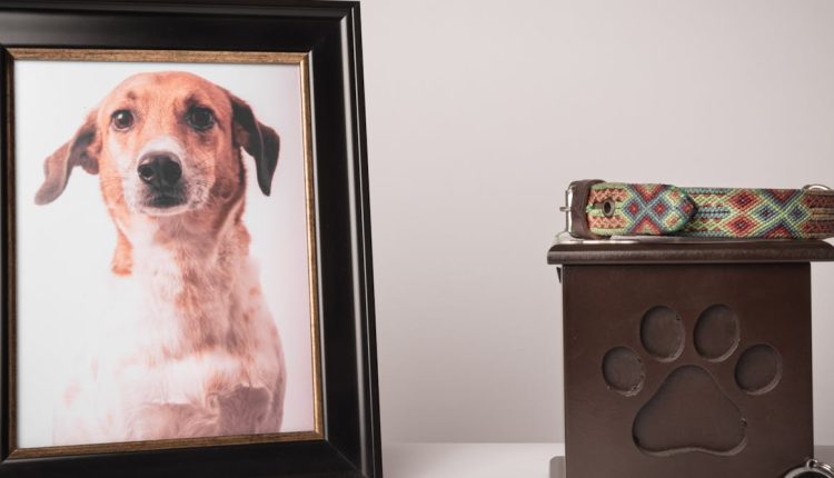 File 20250723 56 pmg5tp.jpg