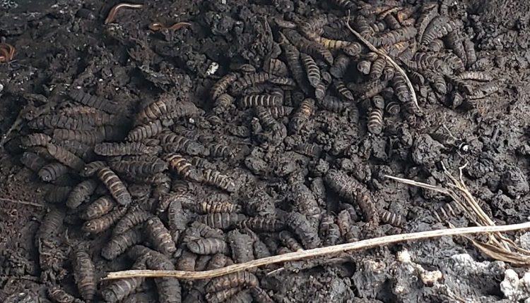 File 20250723 56 wpqugv.jpg