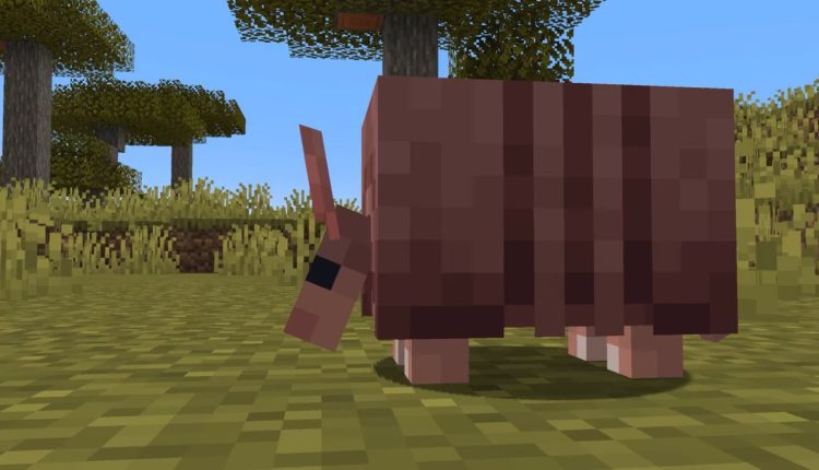 Image to find armadillos in minecraft.jpg