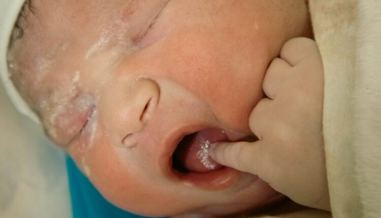 Mohammad hossein farahzadi shpzqqzyk3i unsplash.jpg