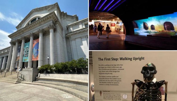 Museum postscript comp.jpg