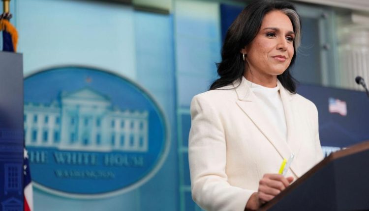 Newspress collage mwd0pr7yz 1753323491689.jpg