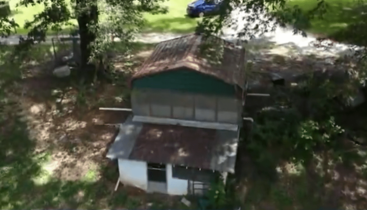 Screen shot 2025 07 23 at 1.15.16 am 1200x630.png