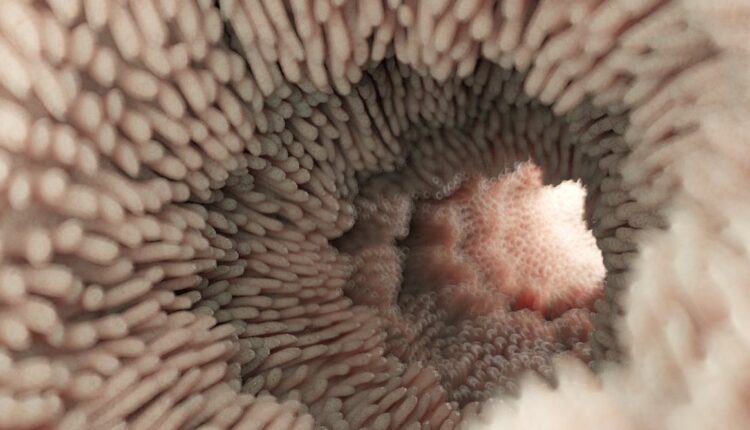 File 20250728 56 n76cec.jpg