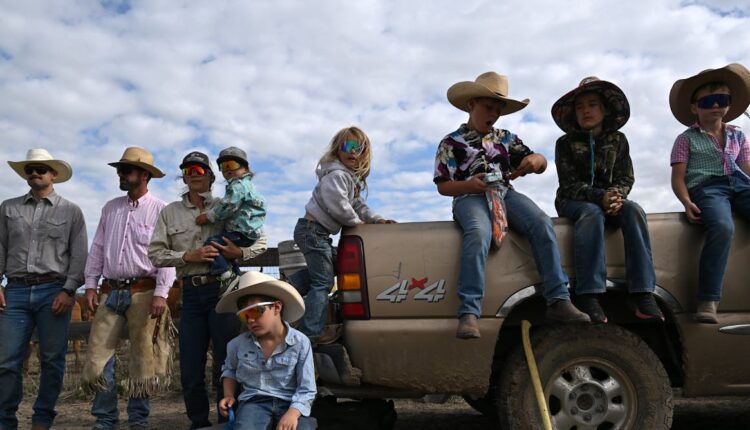 File 20250730 78 vpissf.jpg