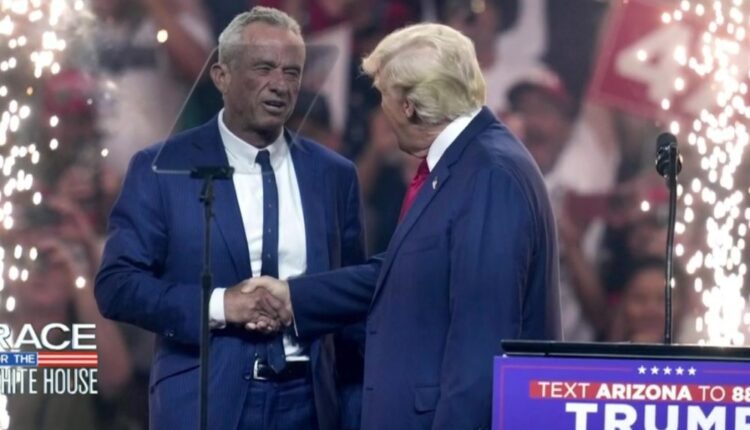 Image 3 e1731620030352 1000x600.jpg