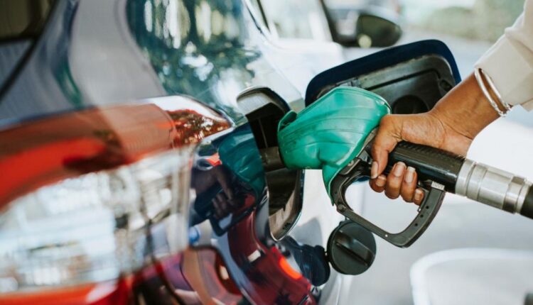 Newspress collage 8dx1n44y9 1754231837709.jpg