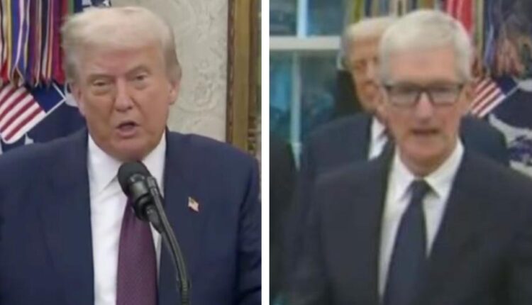 Original photo 2025 08 06 17.47.48.jpeg