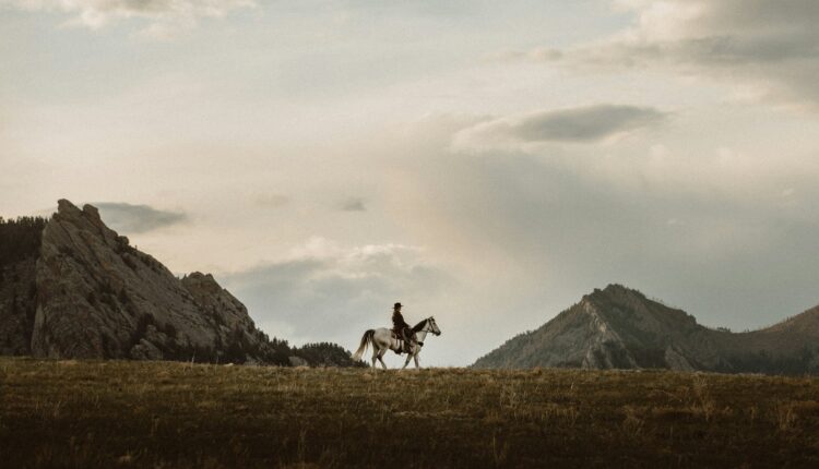 Taylor brandon bqpl0zwemfw unsplash.jpg