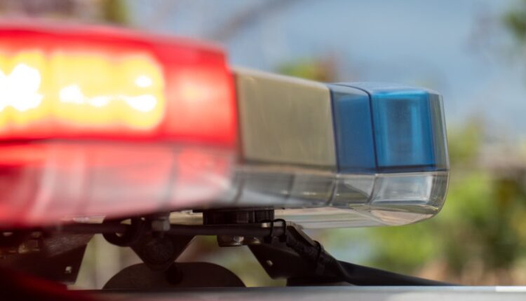 New zealand woman convicted of murdering 2 children after their bodies were found in suitcases 21985.jpeg