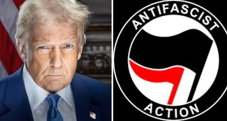 Article img 3822.jpeg