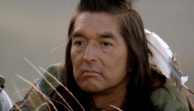 Dances with wolves 1.jpg