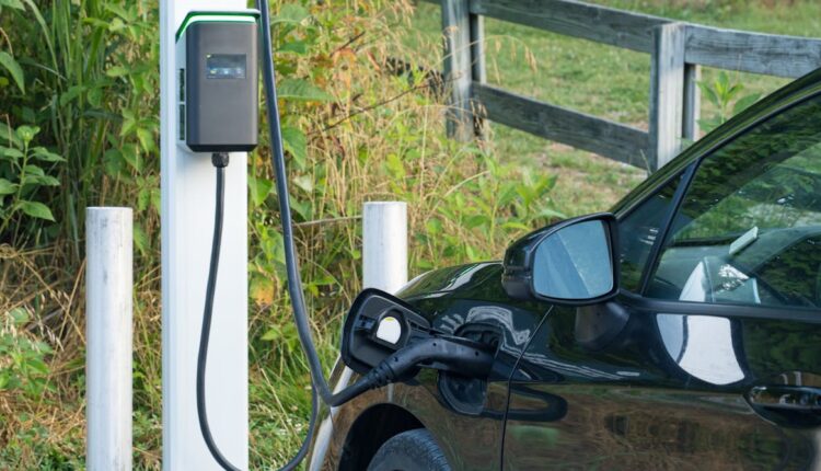 File 20250908 64 rbsloy.jpg