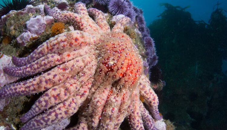 File 20250916 56 k9jhld.jpg