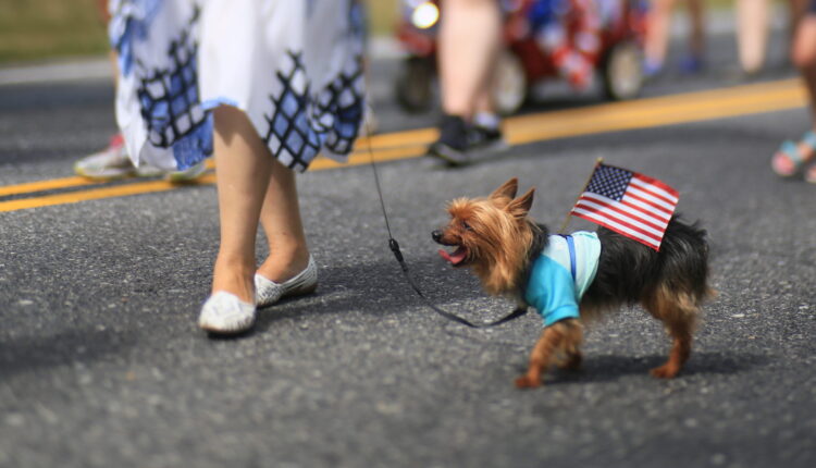 Image from rawpixel id 3578715 original scaled e1757344222665.jpg