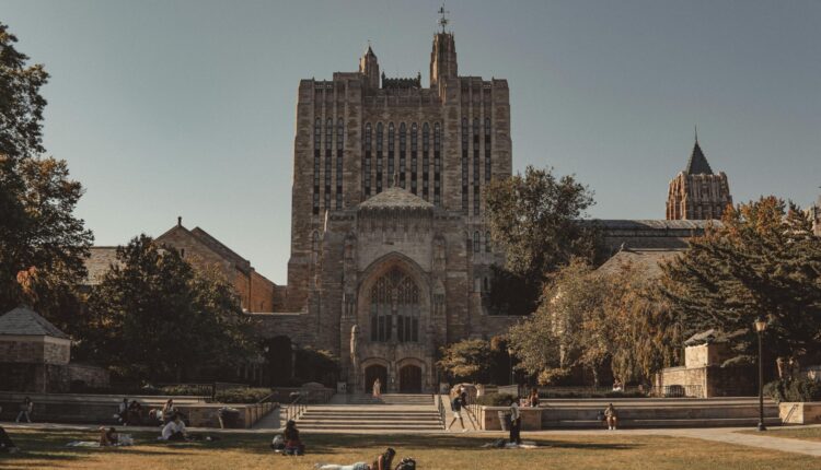 Pexels line knipst 574109081 18668992 scaled.jpg