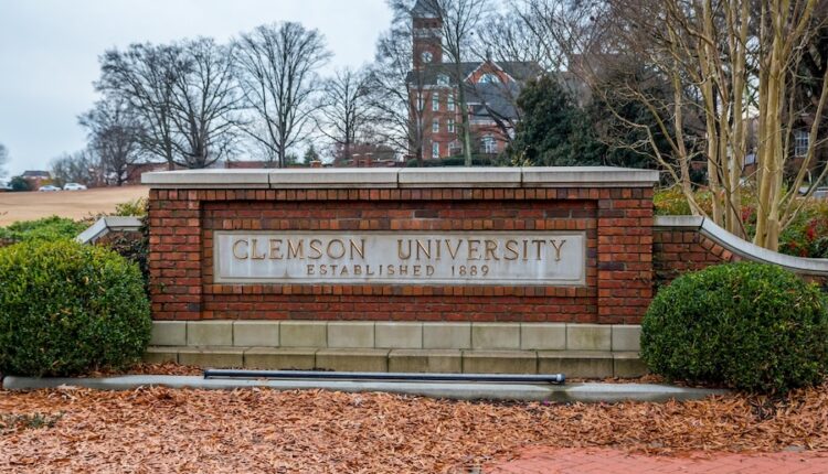 Shutterstock 2215638429.jpg