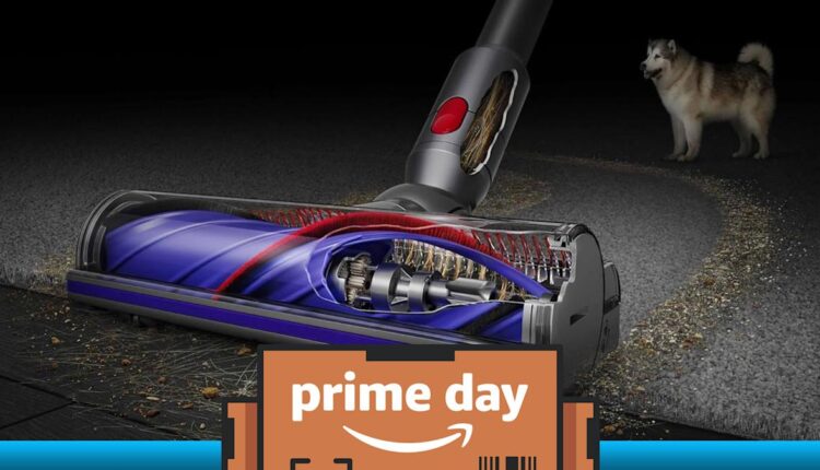 13332fd0 a068 11f0 b7dd b062d43eed09.jpeg