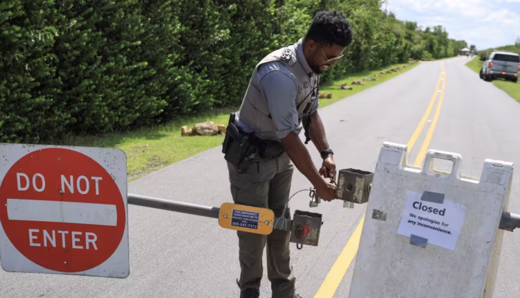 1759428475 social.avif