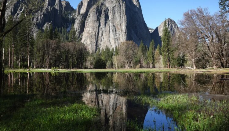 23 year old climber dies in tragic accident while climbing on mountain 1486222064.jpg