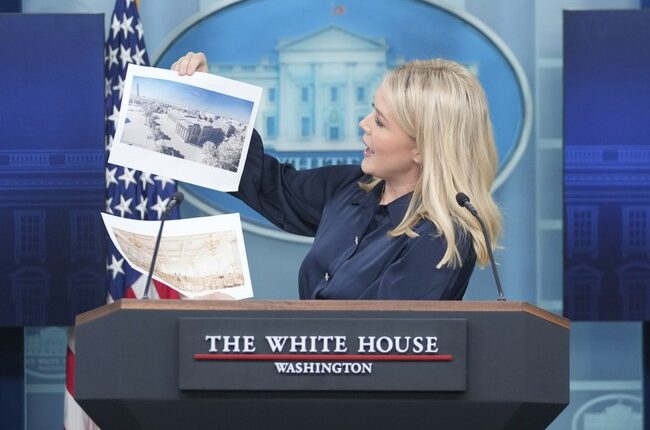 25232c8a c0c8 4645 ae42 4a701353503b.jpg