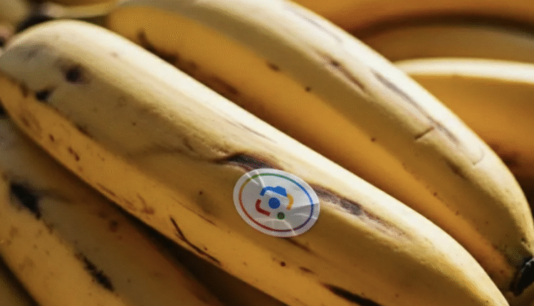 28774530 a85f 11f0 9beb 3bb0df430d4e.png