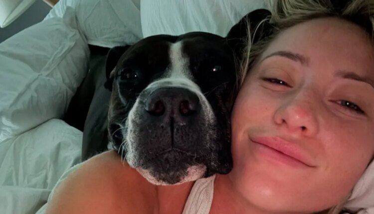 Influencer alix earle shares update on foster dog asias recovery from acl surgery rotated.jpg