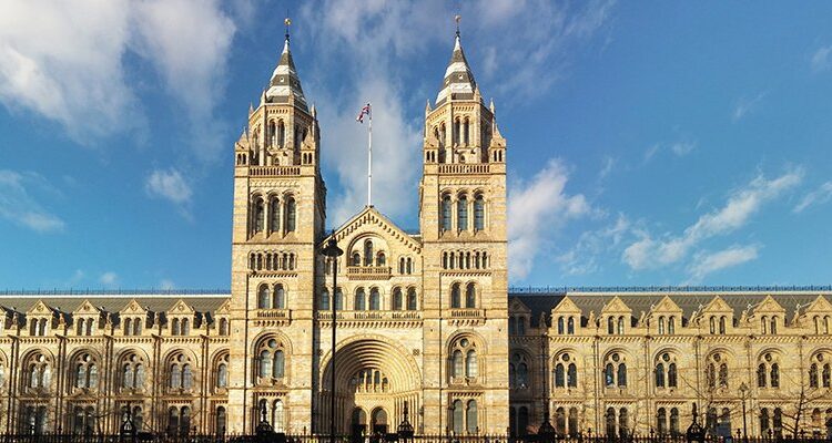 Natural history museum london antoinee adobe.jpg