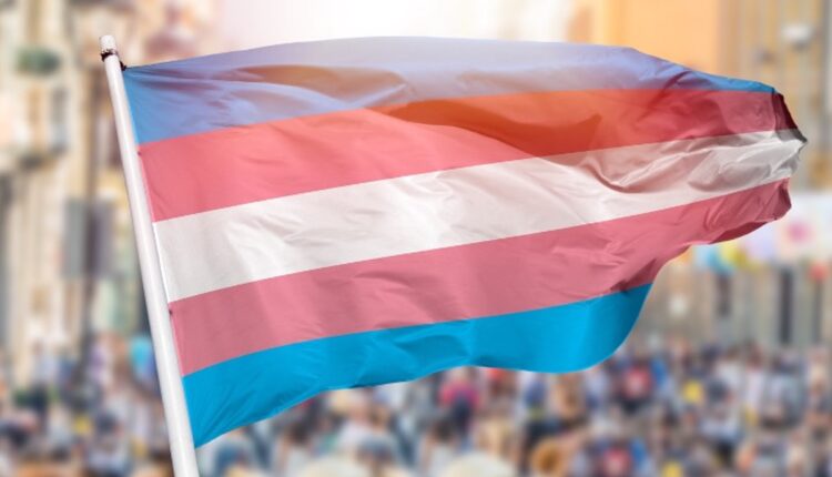Transgender flag resized 10.01.25 05.06.24 12.21.23 04.10.22.jpg