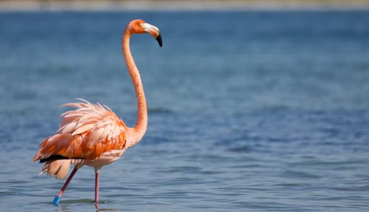 File 20251008 56 95462l.jpeg