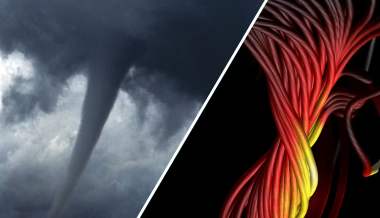 File 20251011 56 11n5sl.png