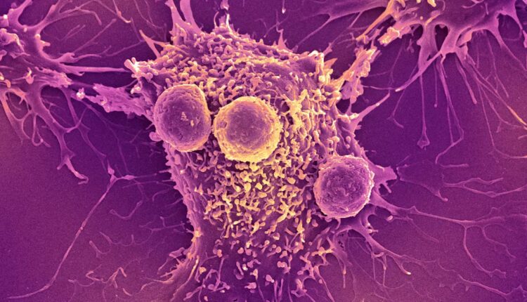 File 20251016 56 yeci3u.jpg