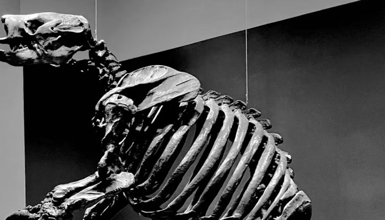 File 20251020 56 hc2odo.png