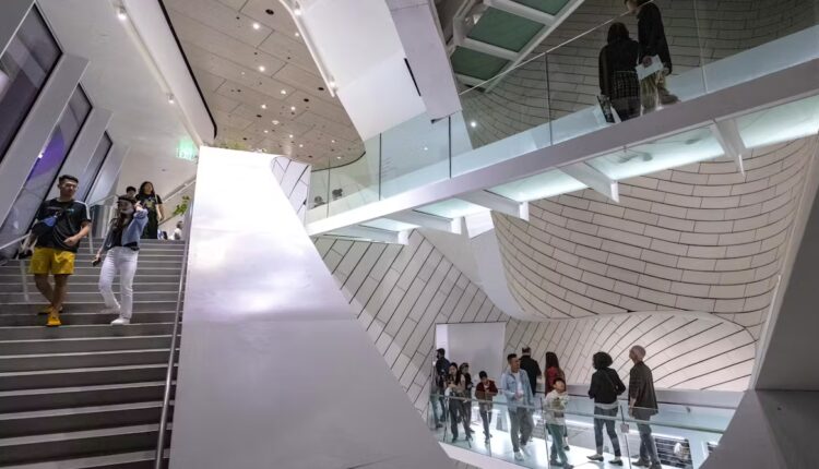 File 20251022 64 spnmel.jpg