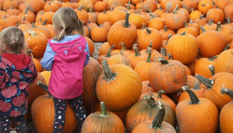 File 20251024 56 tg5jsr.jpg