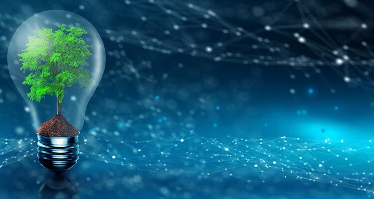 Green technology nature energy bulb tree adobe.jpg