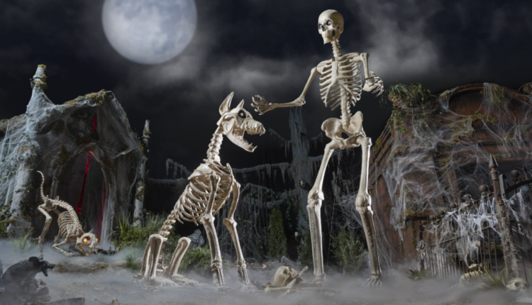 Hero image.fill .size 1200x675.v1760020541.png