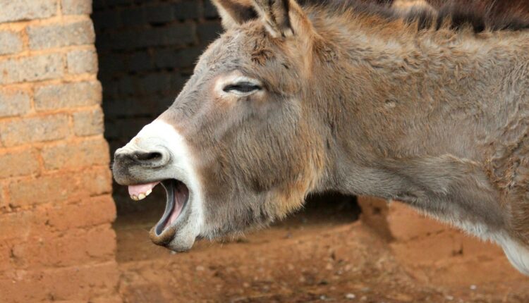 Lena bauermeister pv8rwuorzw unsplash.jpg