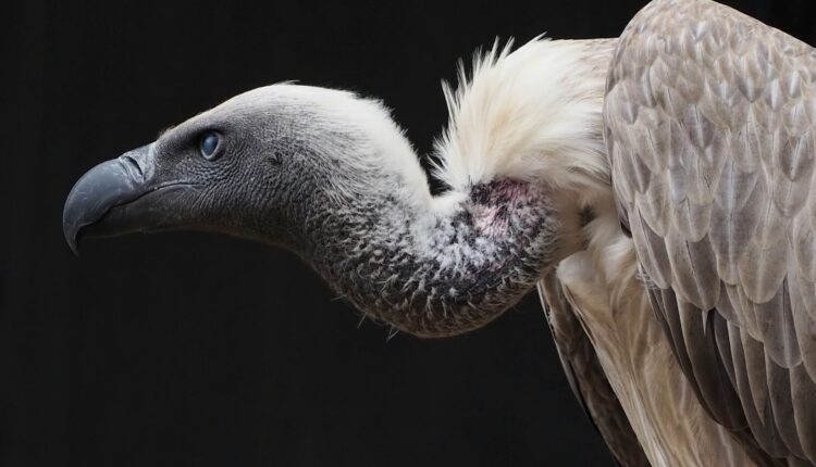 Nick kwan pc5yv7qx4ts unsplash.jpg