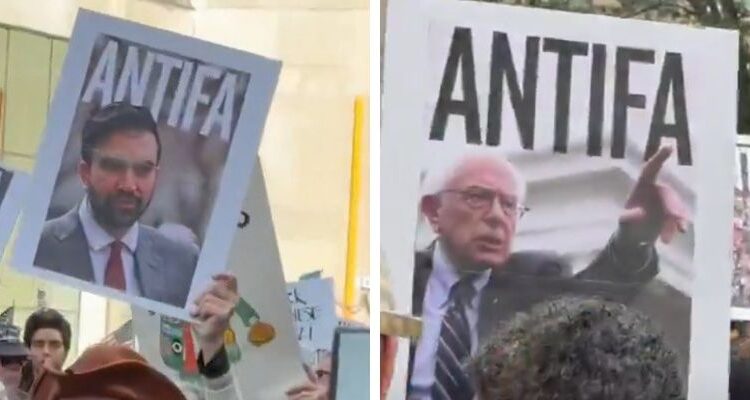 Original untitled design 2025 10 18t184513.256.jpg