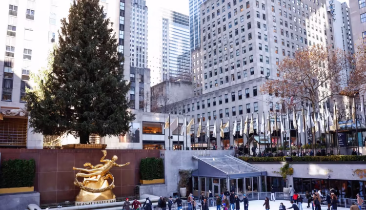 1764565738 social.avif